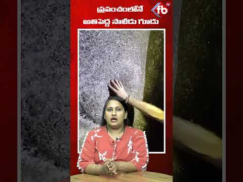 ప్రపంచంలోనే అతిపెద్ద సాలీడు గూడు. #viral #shortsfeed #shorts #spiderman #spidernet | FBTV NEWS