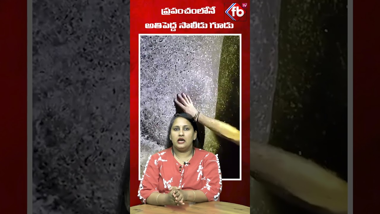 ప్రపంచంలోనే అతిపెద్ద సాలీడు గూడు! 🕷️ #viral #shorts