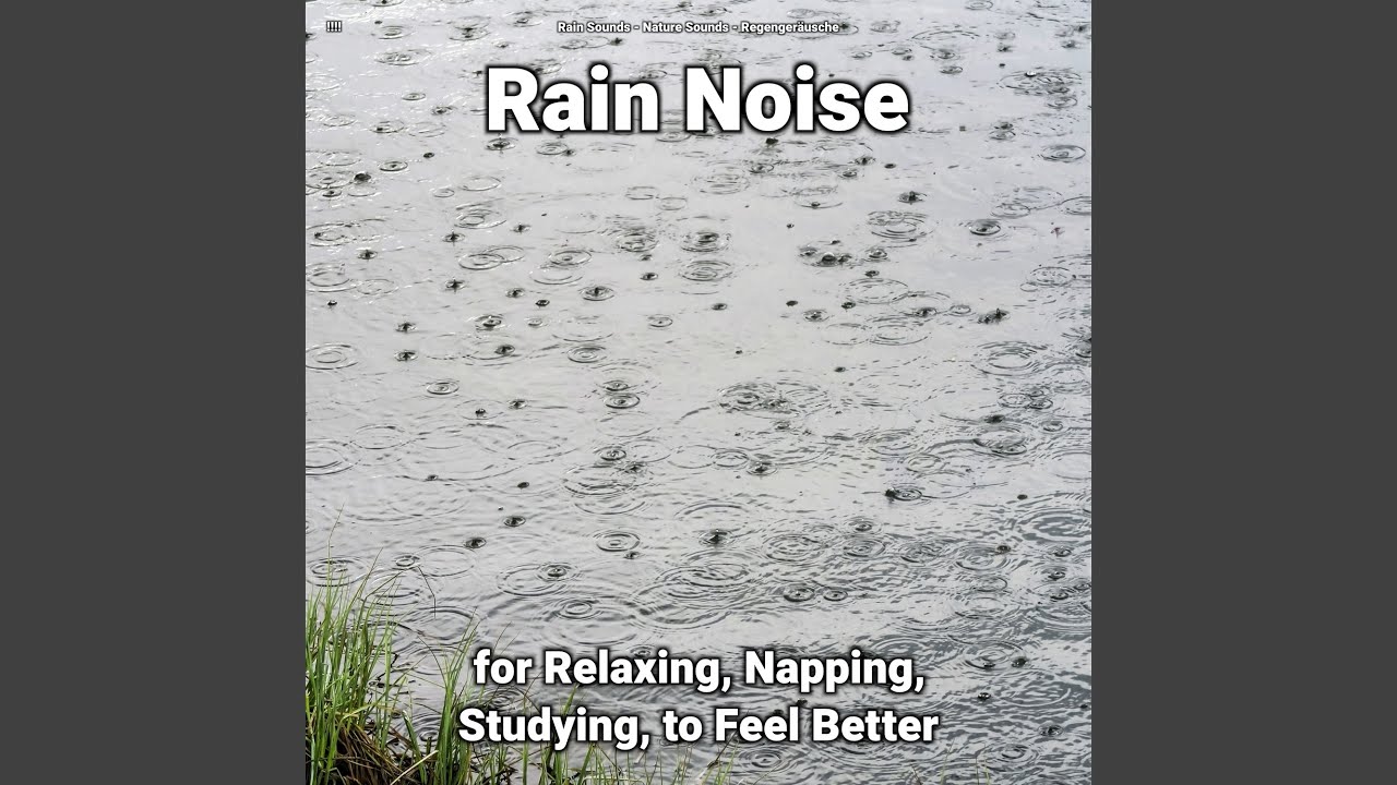 Relaxing Rain Sounds for Calm & Focus 🌧️