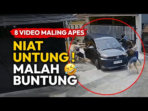 PARA MALING APES 🤣 NIAT UNTUNG MALAH BUNTUNG