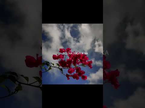 SAHIBA ✨ || Sahiba song lyrics#newsong #song #trending #sahiba || aesthetic songs