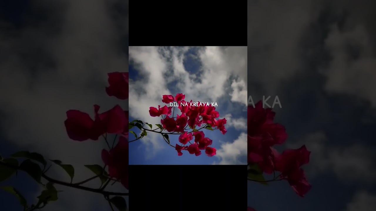 Sahiba & Sahibaa 🎶 Latest Trending Song Lyrics | Aesthetic & Romantic Hits