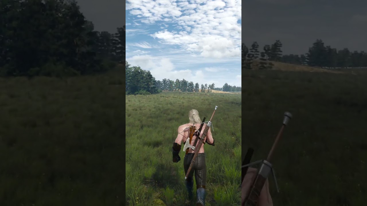 Why The Witcher 3 Is the Deepest Game Ever 🎮