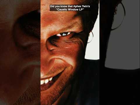 The Most Expensive Electronic Album Ever Sold #aphextwin #shorts #idm
