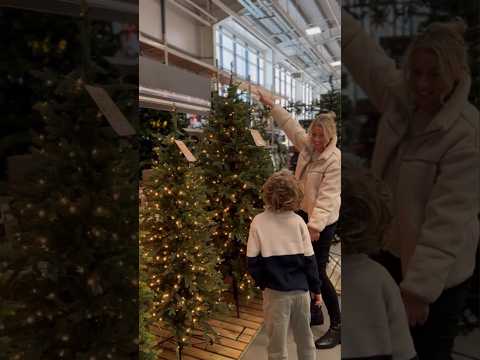 Pick your Christmas tree 🍪🎄 #DIYtips #Howto #BandQ