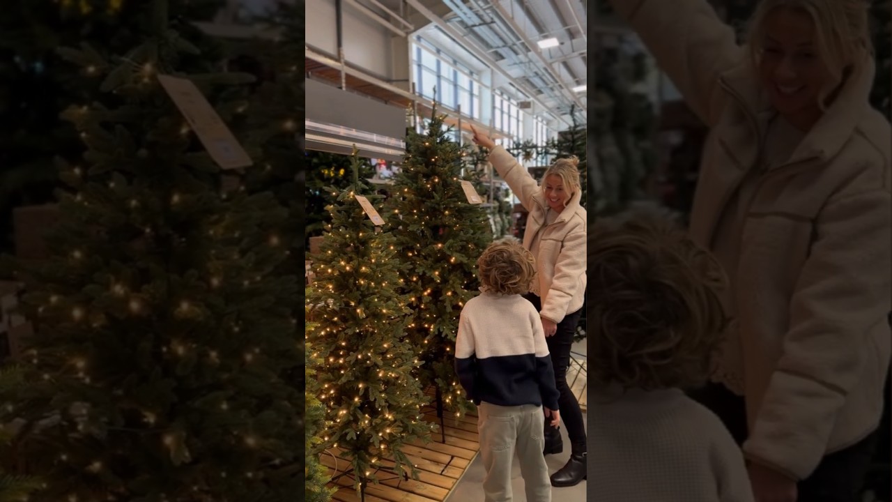 DIY Christmas Tree Tips π