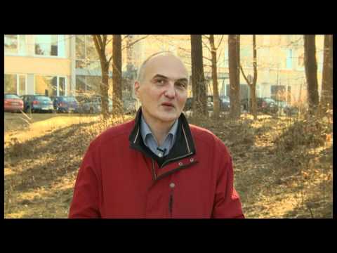 Zīmogs Sarkanā Vaskā