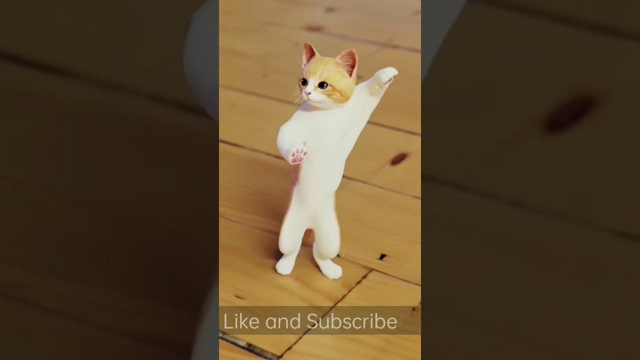Cute Cat Dancing Video 🐱 #Shorts