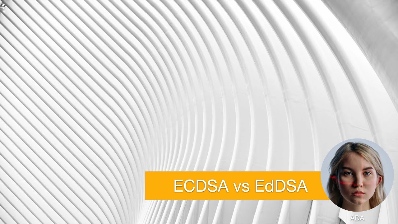 ECDSA vs EdDSA: Digital Signature Algorithms ποΈ