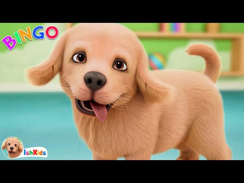 BINGO | Nursery Rhymes & Kids Songs | IshKids | Version 2
