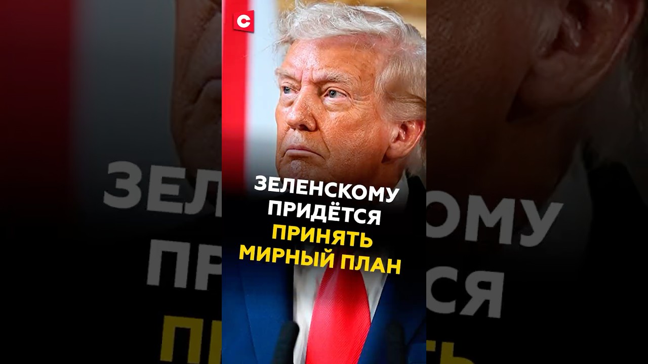 Трамп: Зеленский должен принять мирный план 🇺🇸