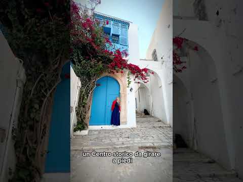La città più bella della Tunisia Sidi Bou Said