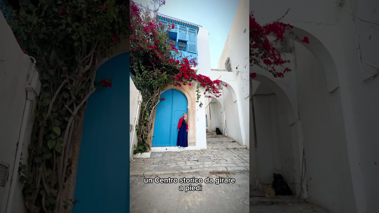 Sidi Bou Said: La città più affascinante della Tunisia