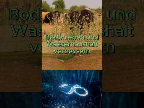 noch 35 Tage bis zur BTW25