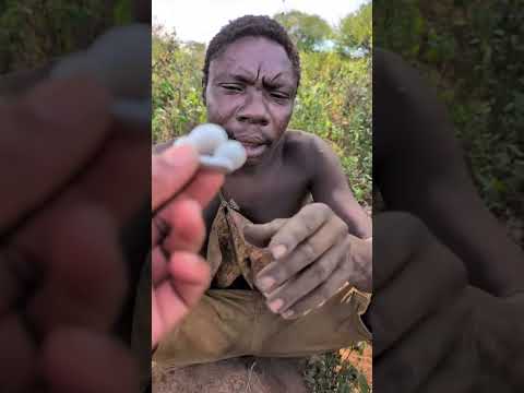 Their first time listening to music #hadzabetribe #chaaba #music #reaction #trendingshorts #shorts