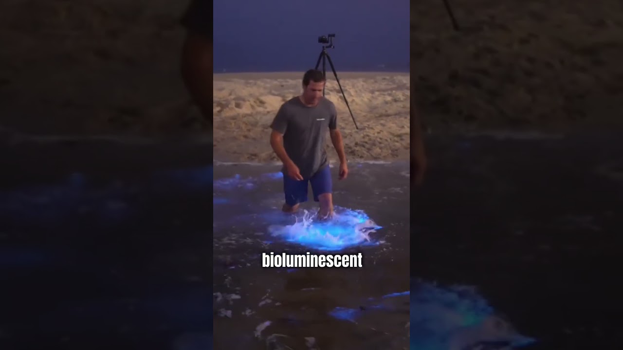 Why Is This Water Glowing? ✨