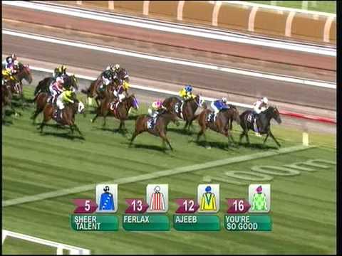 2013 Australian Guineas at Flemington Racecourse