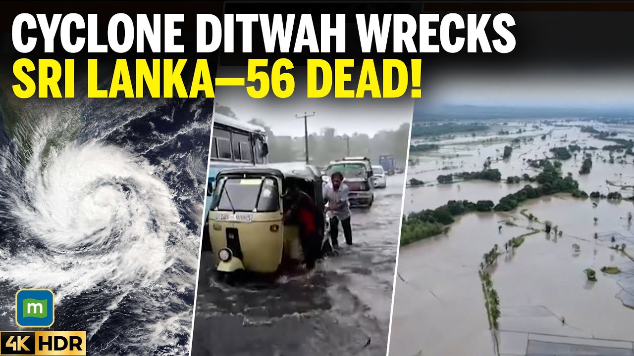 Sri Lanka Flood Disaster: Death Toll Rises to 56 | Cyclone Ditwah Triggers Chaos Across Island