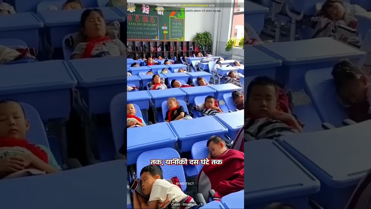 Exploring China's Unique Education System