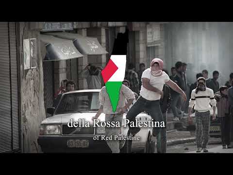 "Rossa Palestina" - Italian Pro-Palestinian Song