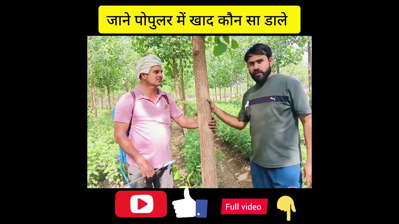 जाने पहले साल पोपुलर में डाला किसान ने कौन सा खाद 🤔#popular#trending#agriculture