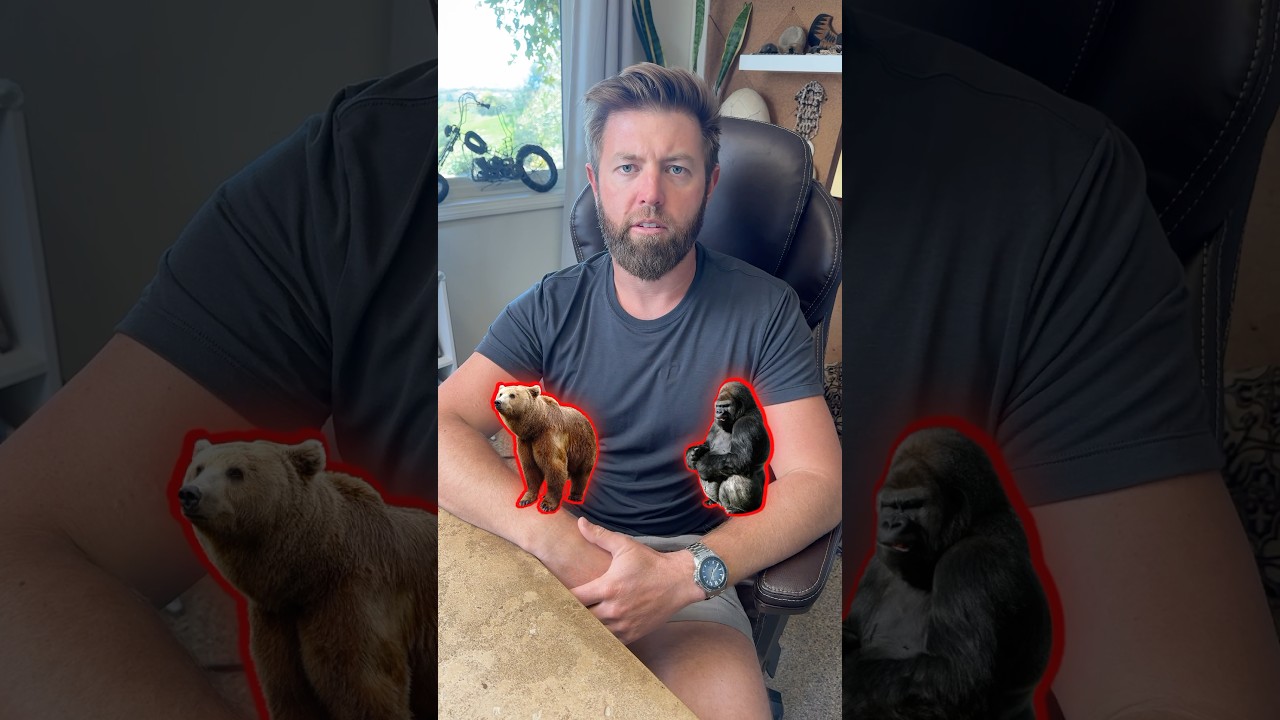 Which Animal Do You Want To Avoid in The Wild?
