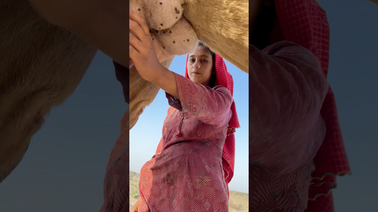 Desert Life in Pakistan 🏜️