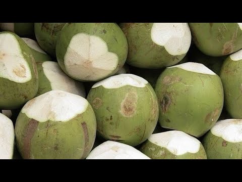 healthy lungs + respiratory system subliminal