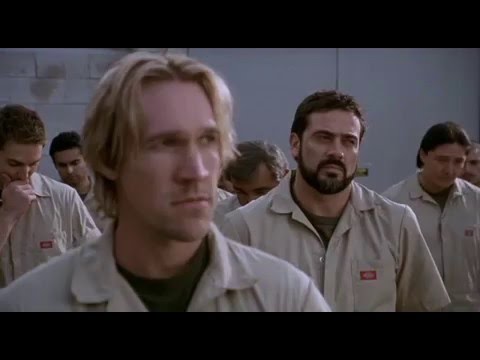 Six The Mark Unleashed