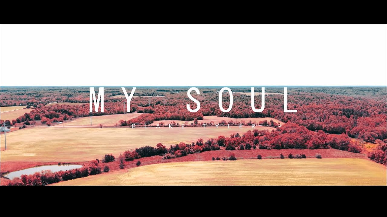 Blake Tyler - My Soul (Official Visualizer) 🎶