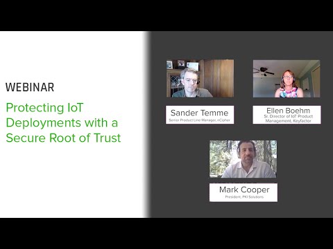 Protecting IoT Deployments with a Secure Root of Trust