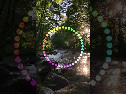 Prime numbers are wild