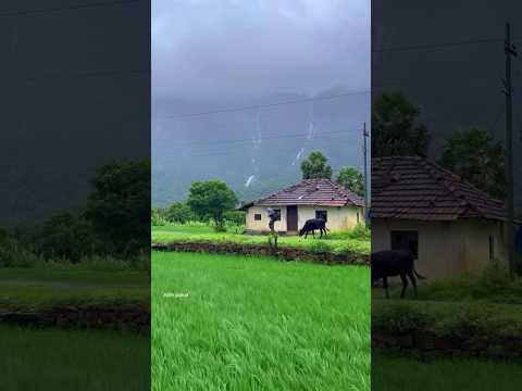 Summer vs Monsoon kollengode #kollengode #kerala #palakkad #monsoon #mountains #nature #travel