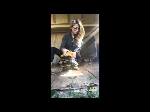 The Bee Removal Video That Went Viral on TikTok