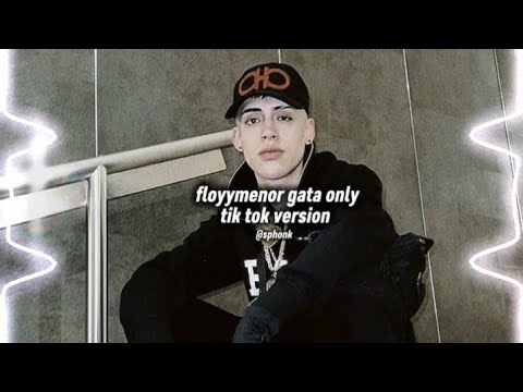 floyymenor - gata only (dscvr remix tiktok full version)