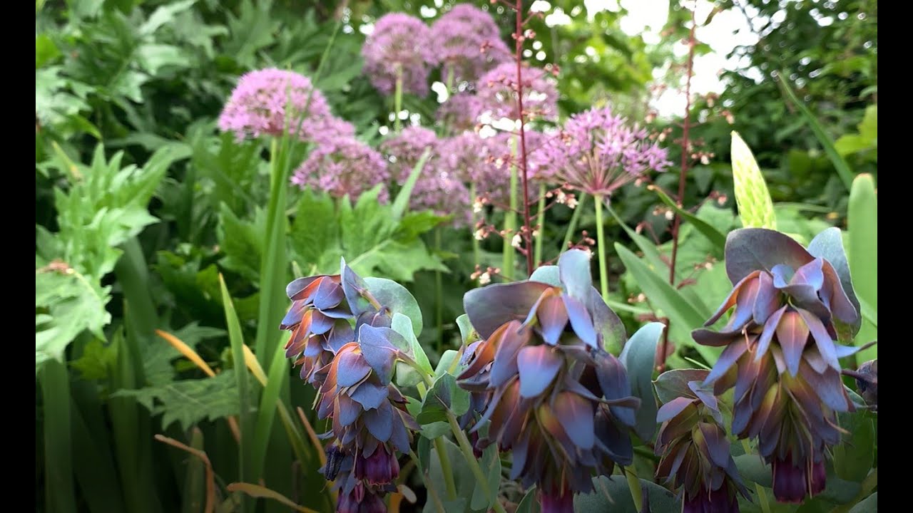 Groei & Bloei OpentuinTV: Jaarlijkse Bloei met Anneleen Verhaegen 🌸