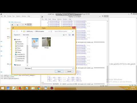 Image encryption scheme using DNA and bases probability