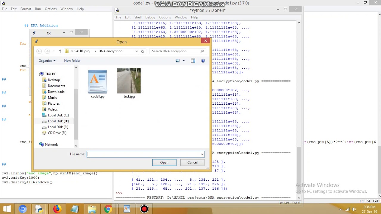 Innovative DNA-Based Image Encryption Using Base Probabilities 🧬
