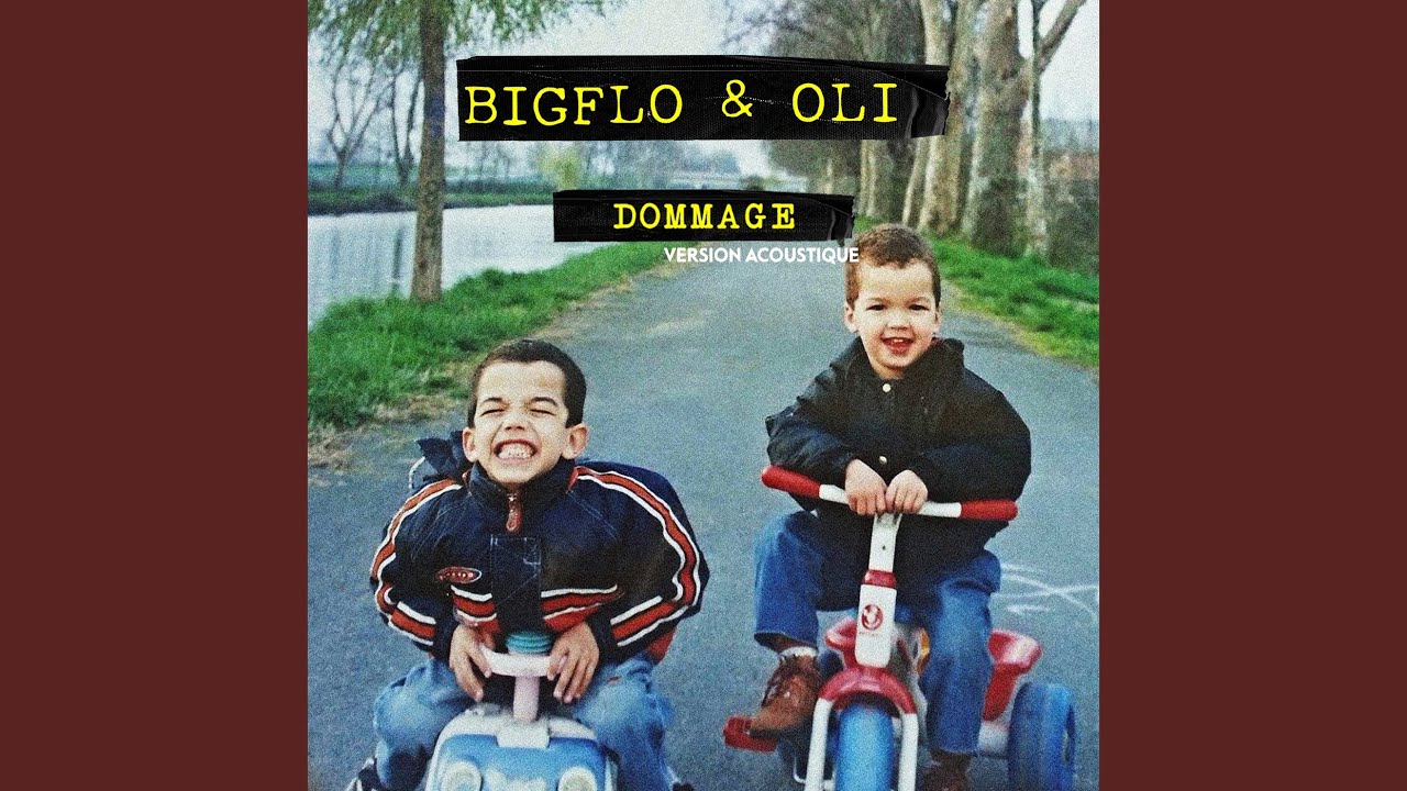 Dommage (Acoustic) by Bigflo & Oli 🎶