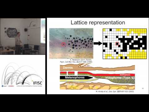 Turing patterns without diffusion: how immobile pigment cells can color the skin of zebrafish