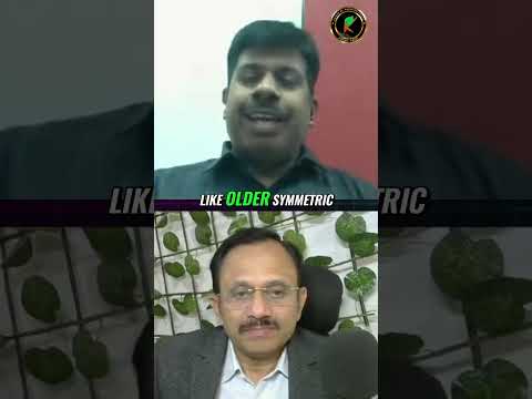 Quantum Attacks: Are Your Encryption Algorithms Safe? (RSA, ECC, AES)