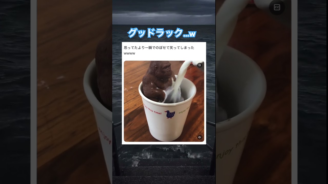 名シーンかも？🤣 #shorts #おもしろ動画