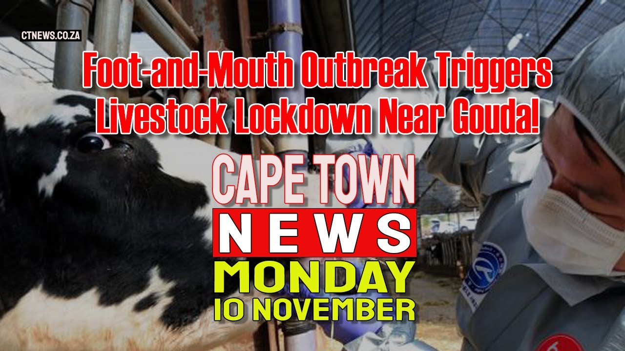 Cape Town News | Nov 10, 2025 β Western Cape Headlines π°