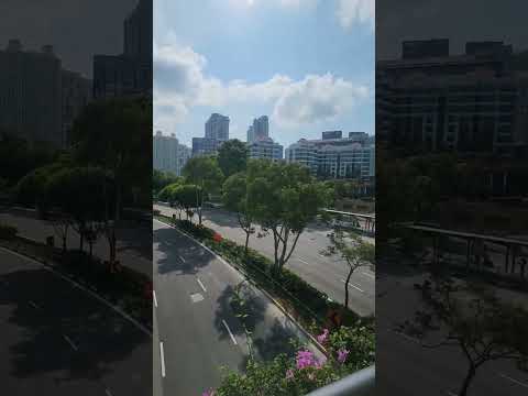 Hot weather here in Singapore#weather#viral#youtubeshorts