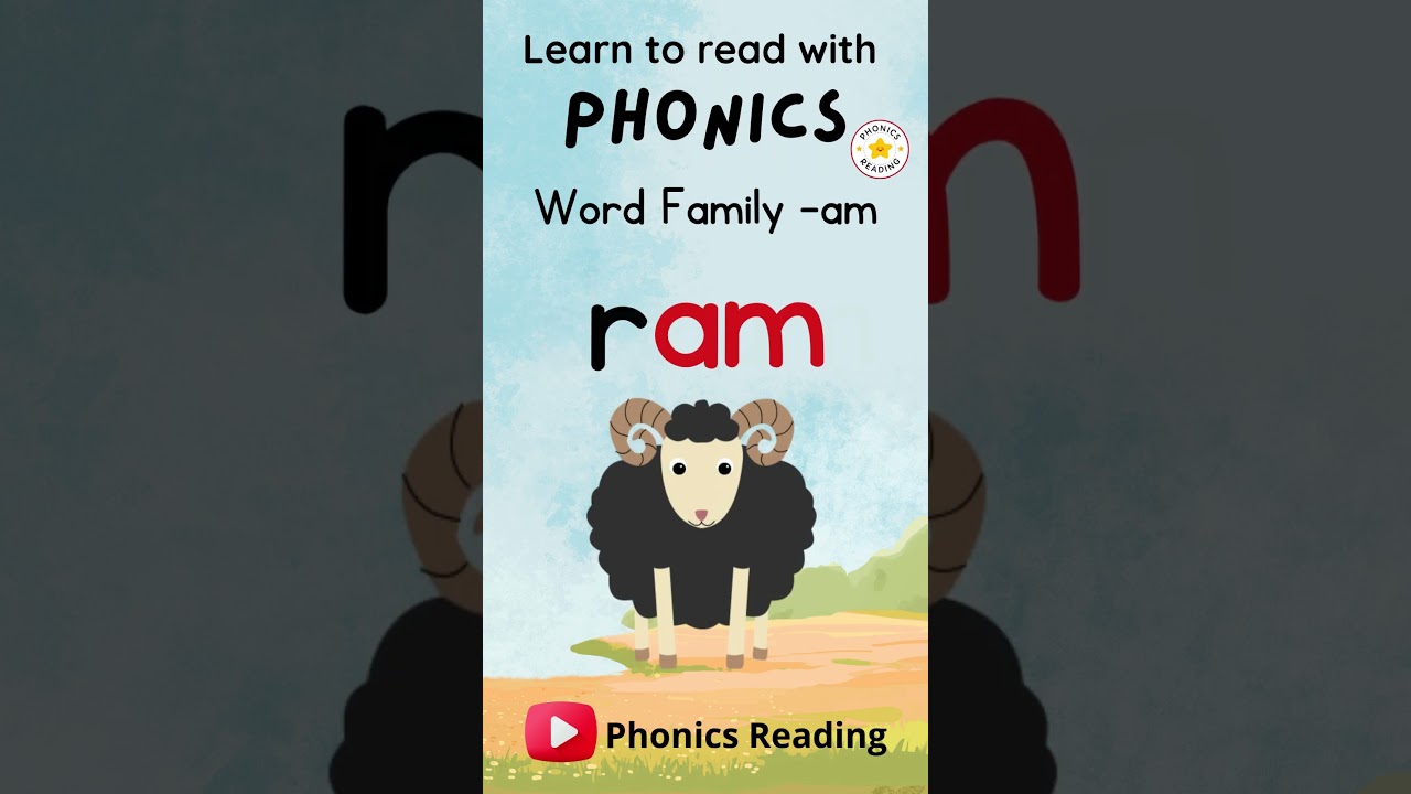 Phonics Practice with 'am' Word Family 📚