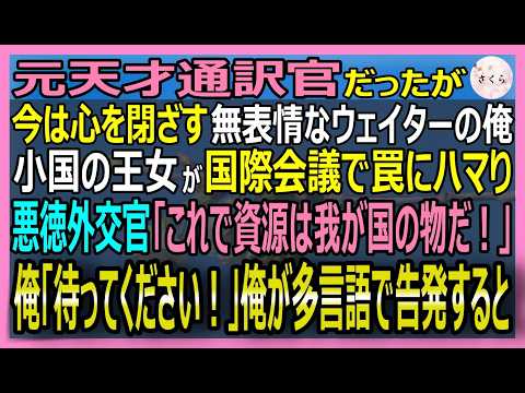 【感動する話】元天才通訳官だが今は心を閉ざしたウェイターの俺。小国の王女が、AI翻訳の罠で国を奪われる！俺「その署名はダメだ！」卓越した語学力で助けた結果【いい話・スカッと・スカッとする話・朗読】