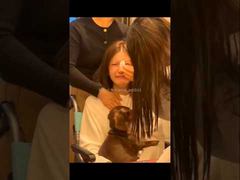 THIS IS HEARTBREAKING 💔 #cdrama #hiddenlove #zhaolusi #shorts #shortsfeed #shortsviral #kpop