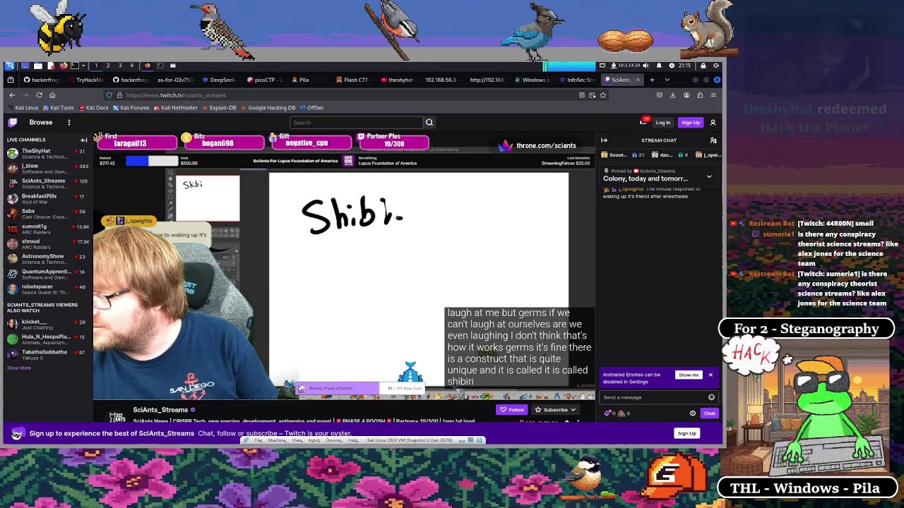 Steganography & Hacking Skills: C Programming for Digital Forensics 🔍