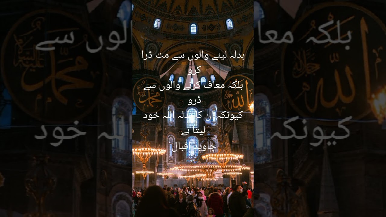 Islamic Insights & Teachings on YouTube 📖