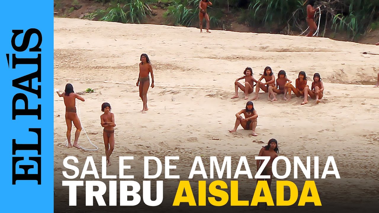 Indígenas Mashco Piro salen de la Amazonía en busca de comida 🌳
